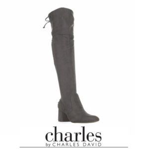 Sexy Charles by Charles David Gray Over The Knee Boots w Tite Back